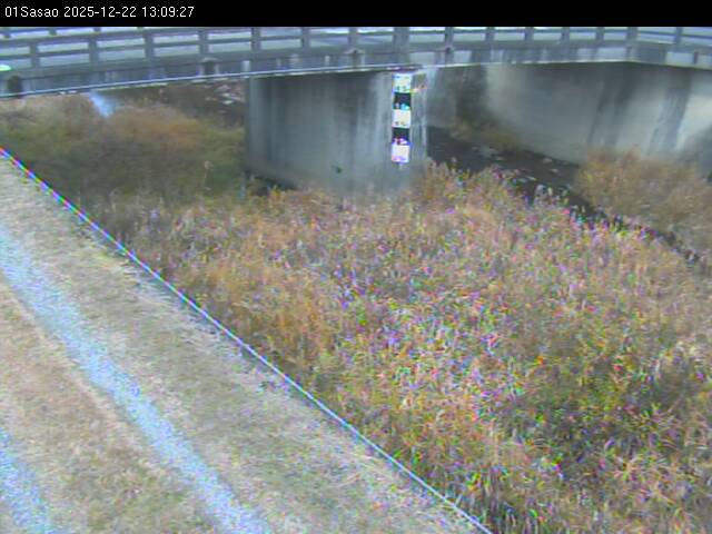 最新監視カメラ画像