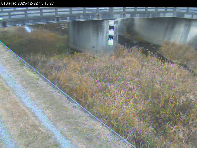 最新監視カメラ画像