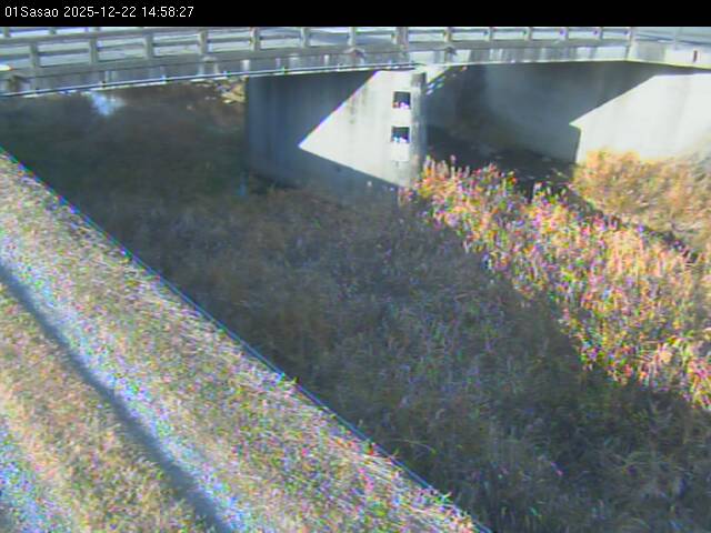 最新監視カメラ画像