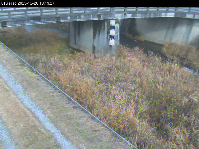 最新監視カメラ画像