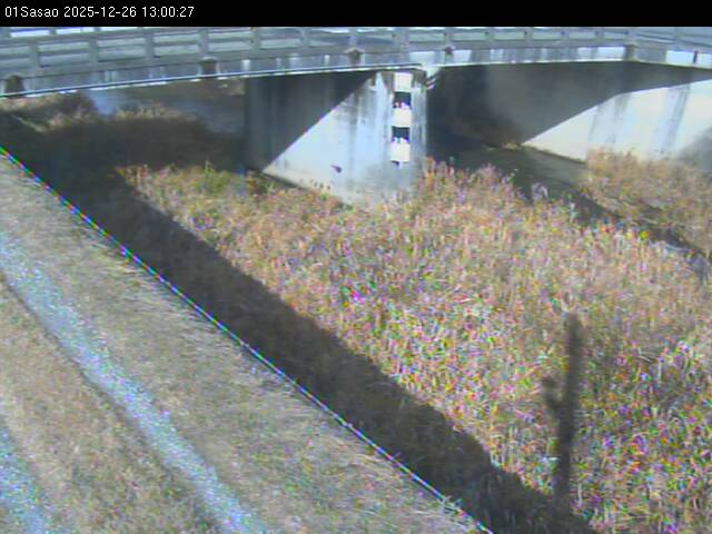 最新監視カメラ画像