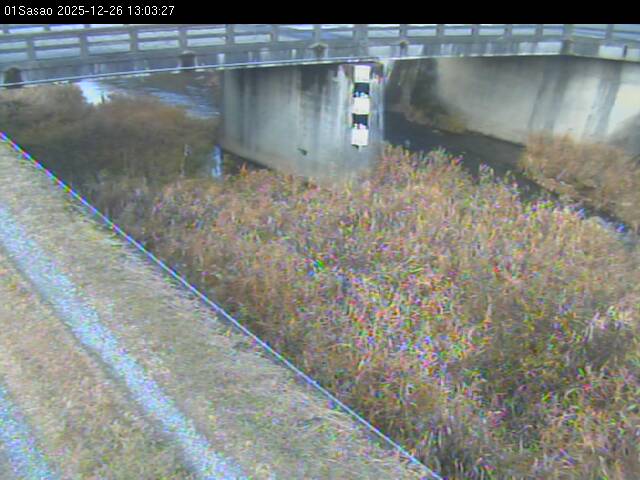 最新監視カメラ画像