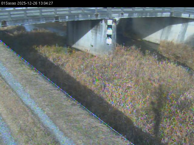 最新監視カメラ画像