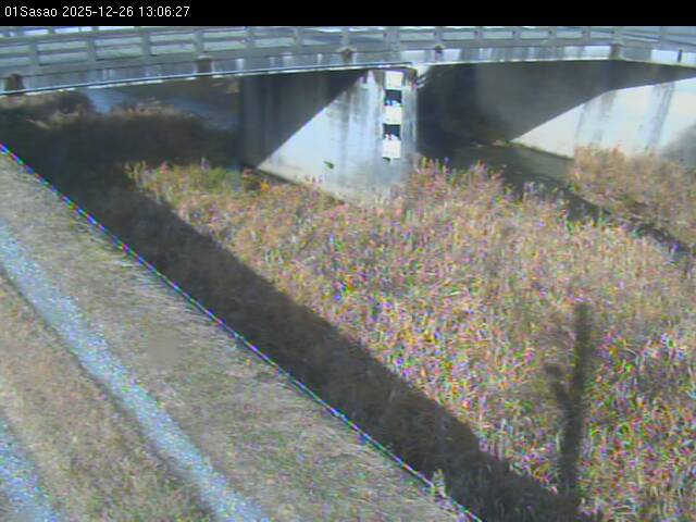 最新監視カメラ画像