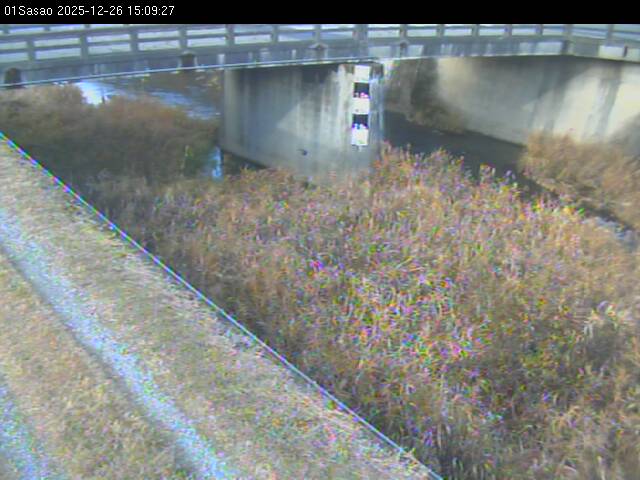 最新監視カメラ画像