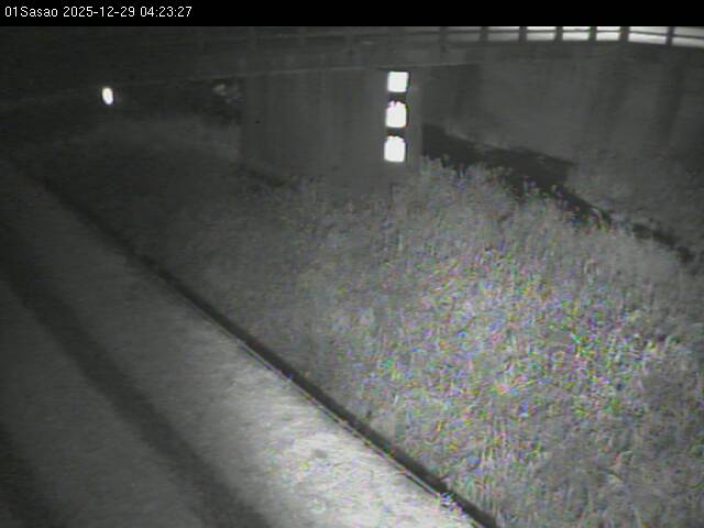 最新監視カメラ画像