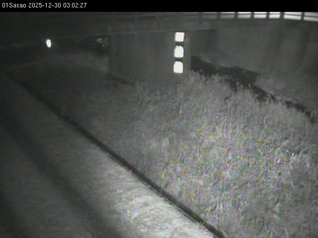 最新監視カメラ画像