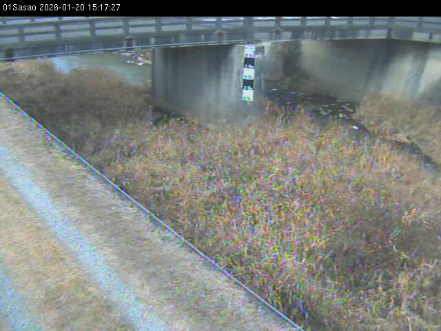 最新監視カメラ画像