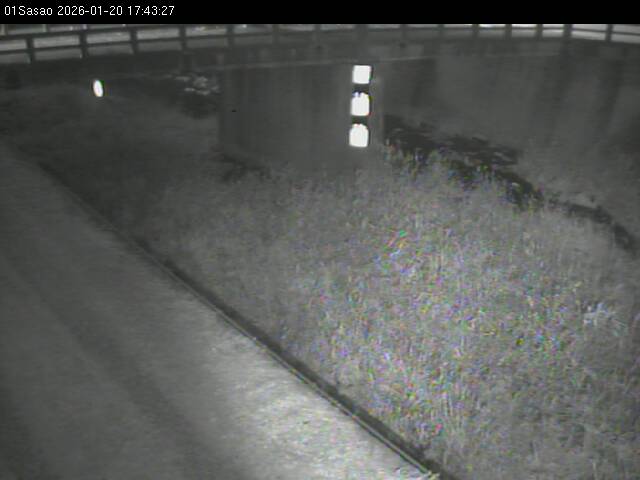 最新監視カメラ画像