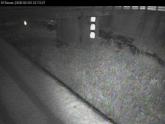 最新監視カメラ画像