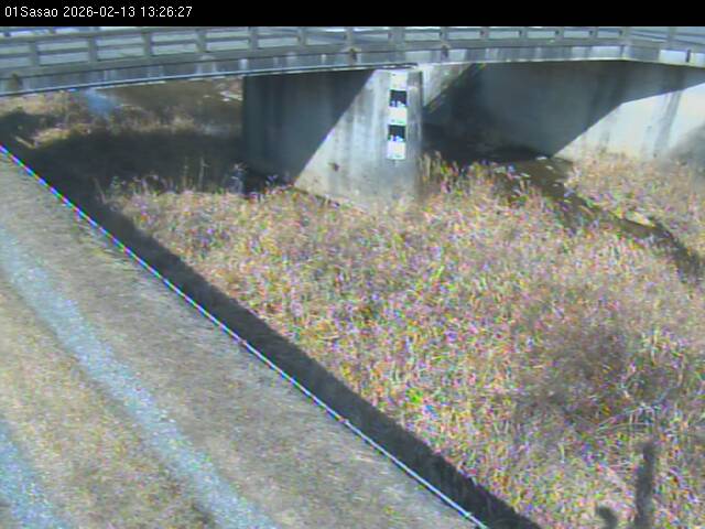 最新監視カメラ画像