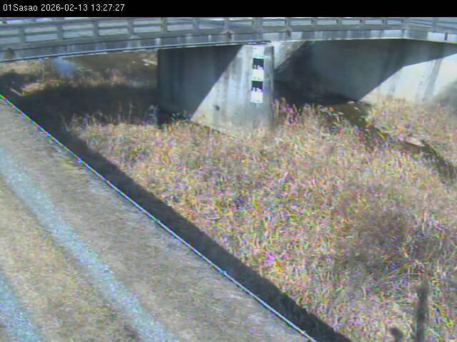 最新監視カメラ画像