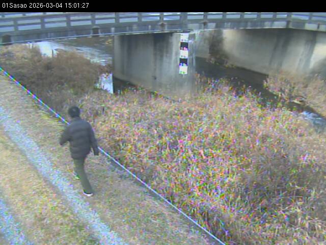 最新監視カメラ画像