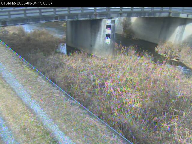 最新監視カメラ画像