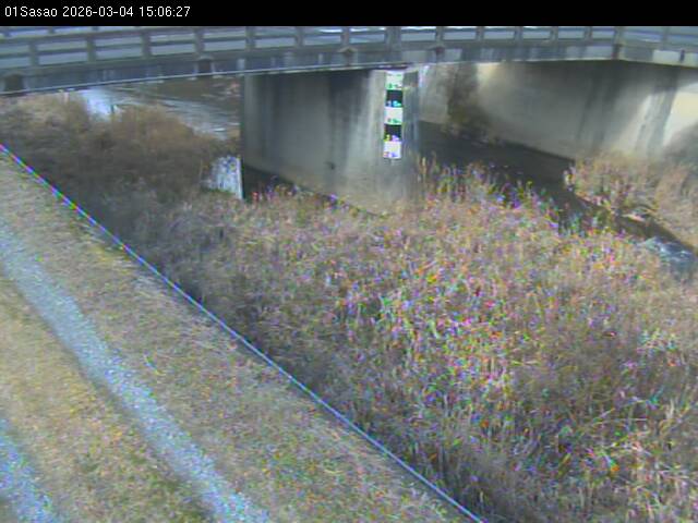 最新監視カメラ画像