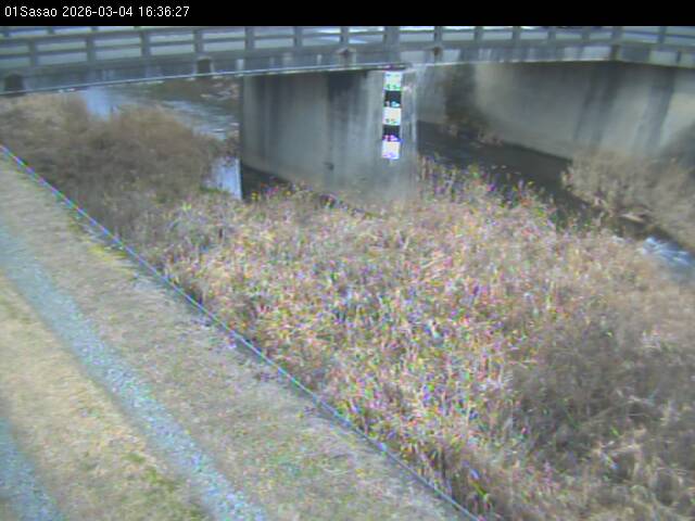 最新監視カメラ画像