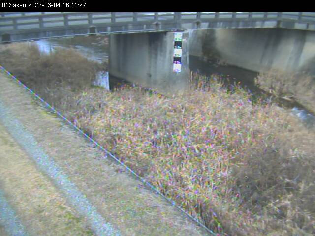 最新監視カメラ画像