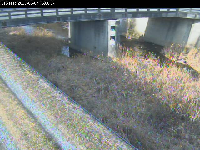 最新監視カメラ画像