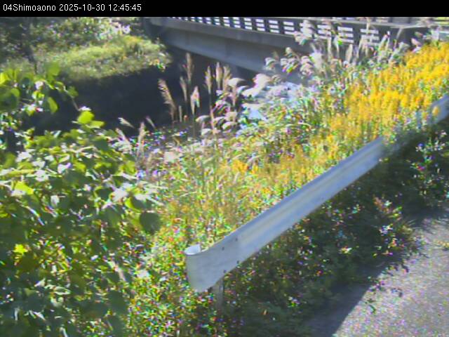 最新監視カメラ画像