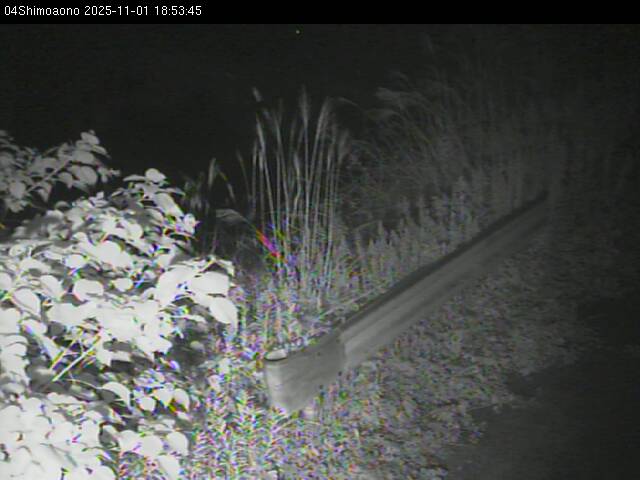 最新監視カメラ画像