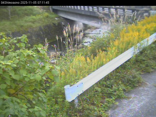 最新監視カメラ画像