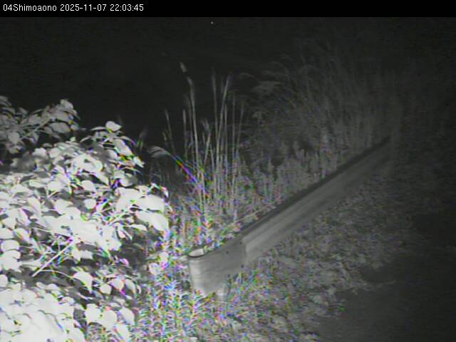 最新監視カメラ画像