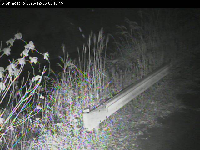 最新監視カメラ画像