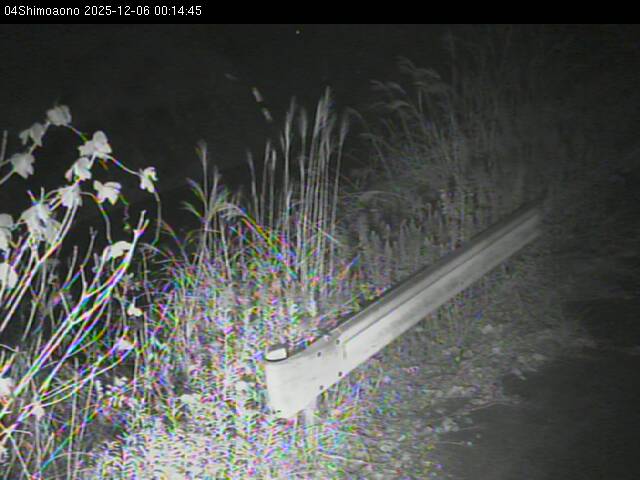 最新監視カメラ画像