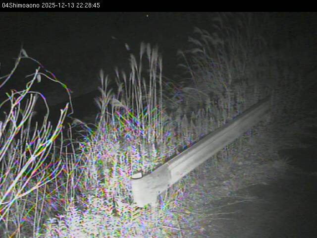 最新監視カメラ画像