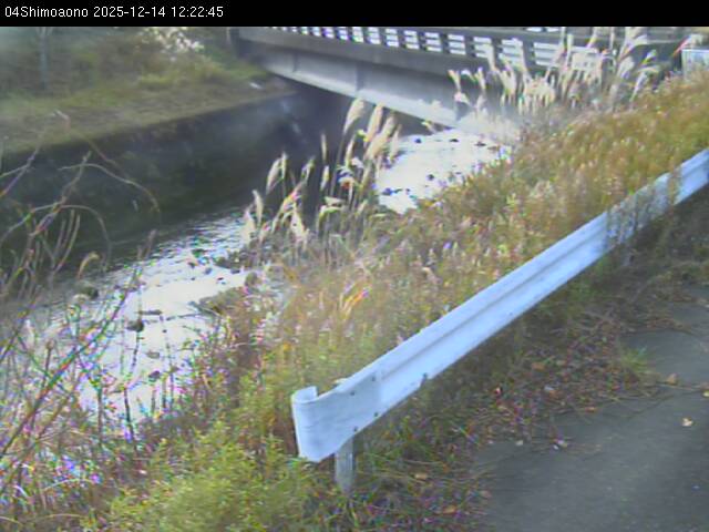 最新監視カメラ画像