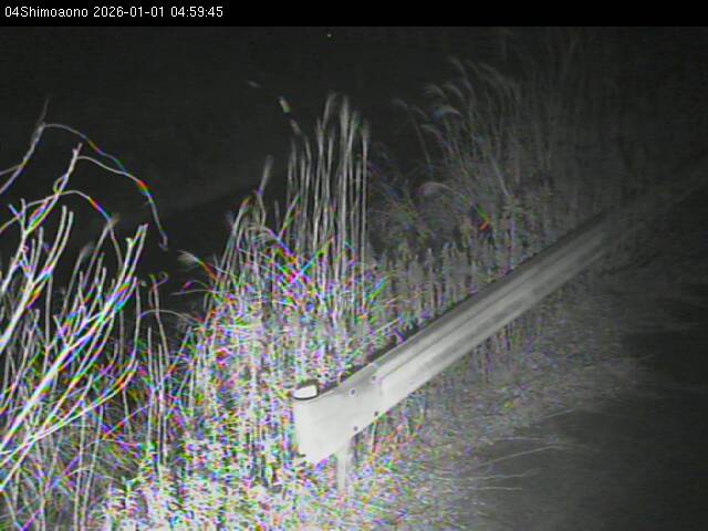 最新監視カメラ画像