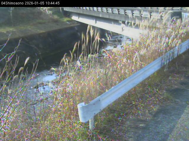 最新監視カメラ画像