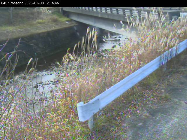 最新監視カメラ画像