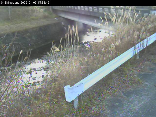 最新監視カメラ画像