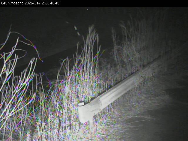 最新監視カメラ画像