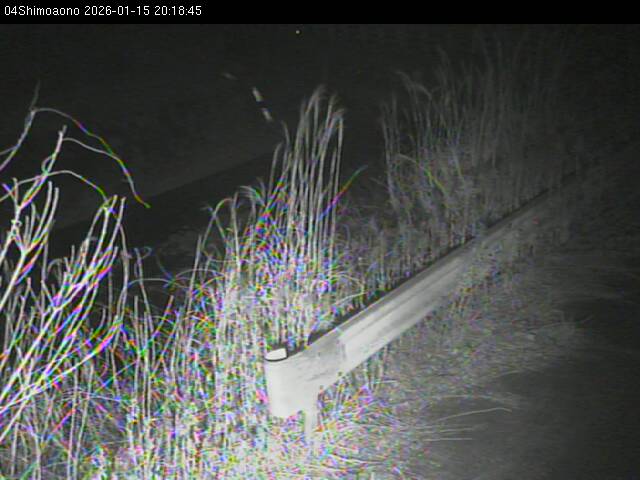 最新監視カメラ画像