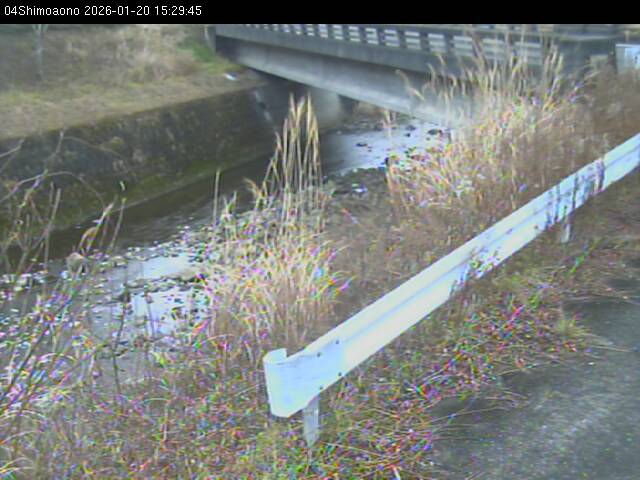 最新監視カメラ画像