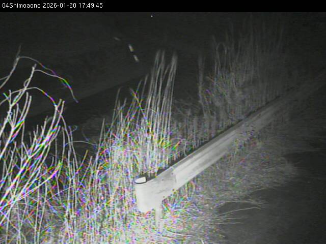 最新監視カメラ画像