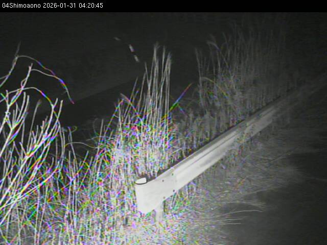 最新監視カメラ画像