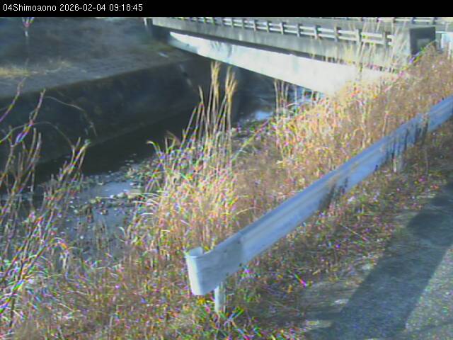 最新監視カメラ画像