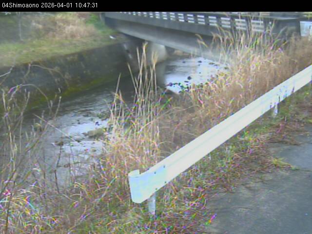 最新監視カメラ画像