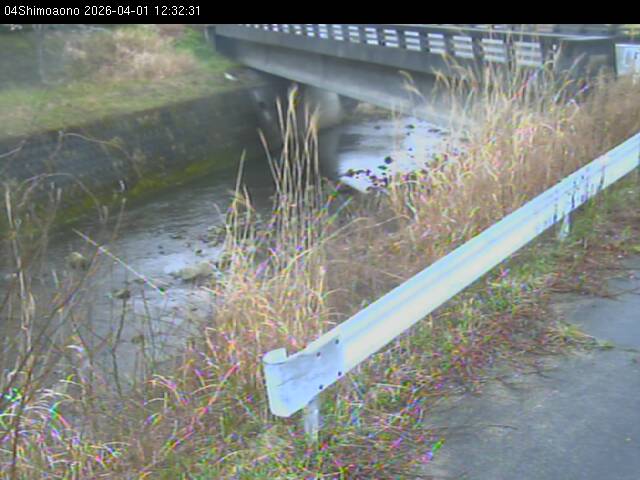 最新監視カメラ画像