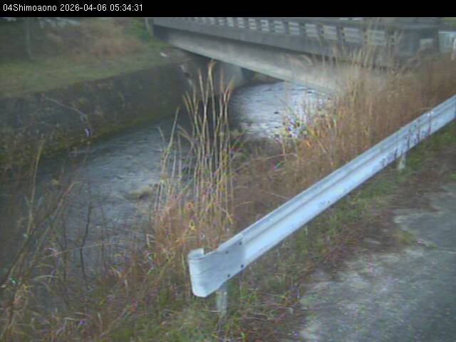 最新監視カメラ画像