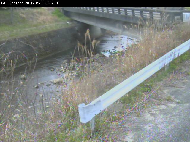 最新監視カメラ画像