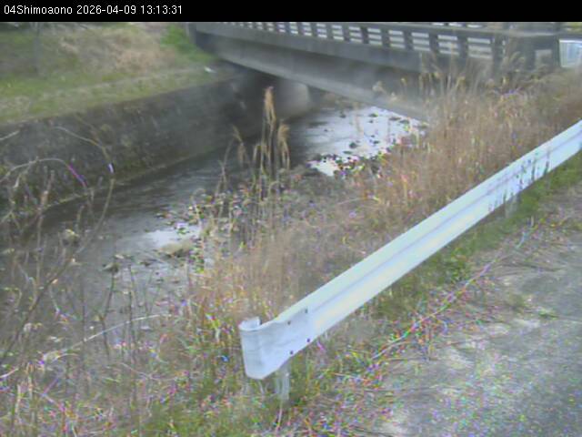 最新監視カメラ画像