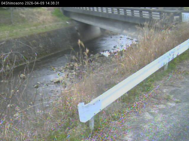 最新監視カメラ画像