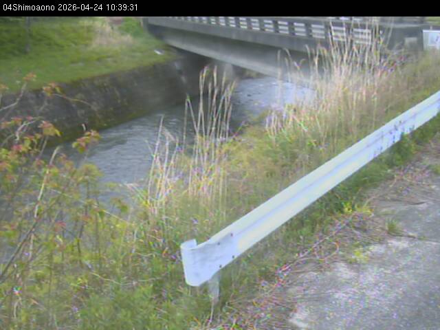 最新監視カメラ画像