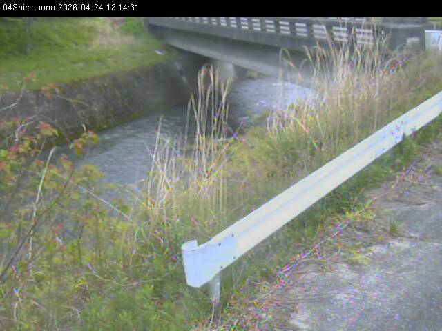 最新監視カメラ画像