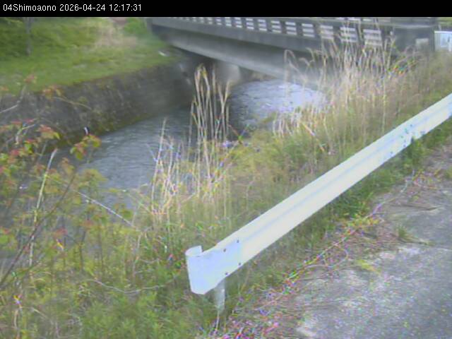 最新監視カメラ画像