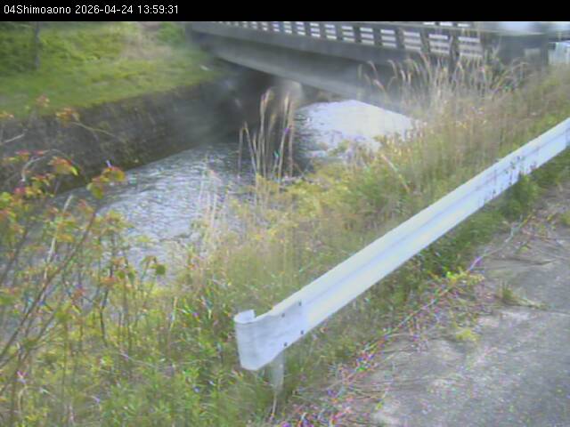 最新監視カメラ画像